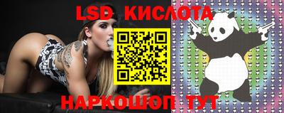 бошки Заводоуковск