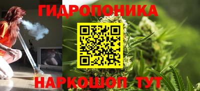 бошки Заводоуковск
