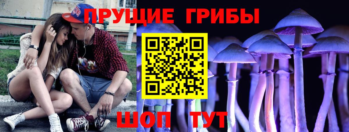 Миллерово  Галлюциногенные грибы мухоморы  Вход с VPN 